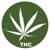 Semi di Cannabis Alto THC
