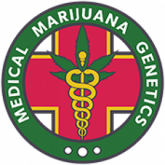 Medical Marijuana Genetics Fem