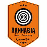 Kannabia Seeds Auto