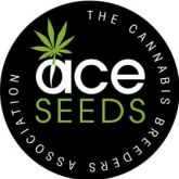 ACE Seeds Auto