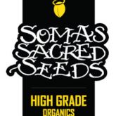 Soma's Sacred Seeds Fem