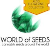 World Of Seeds Auto