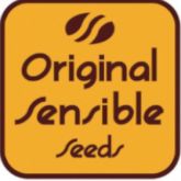Original Sensible Seeds Auto