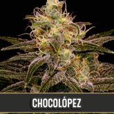 Chocolopez (Certified) - Blimburn