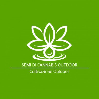 Semi-di-Cannabis-Coltivazione-Outdoor