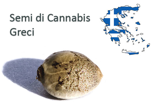 Semi-di-Cannabis-Greci