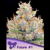 Future #1 - Anesia Seeds