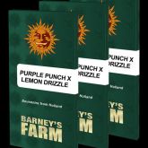 Purple Punch x Lemon Drizzle - Barney's Farm