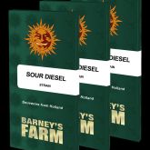 Sour Diesel - Barney's Farm