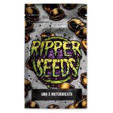 GMO x Motorbreath - Ripper Seeds