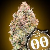 Do Si Dos Cookies Fast - 00 Seeds